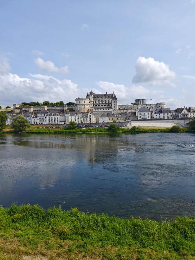 Le Nid De L'Ile Villa Amboise Ngoại thất bức ảnh